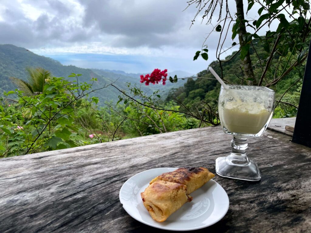 Jaco Costa Rica - The view from Rancho Shadday including an empanada and a pina colada on the table