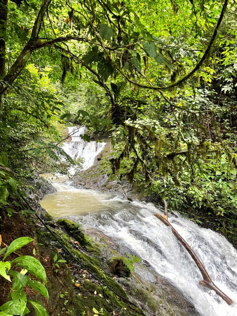 Jaco Costa Rica - A multi-tiered waterfall in the jungle