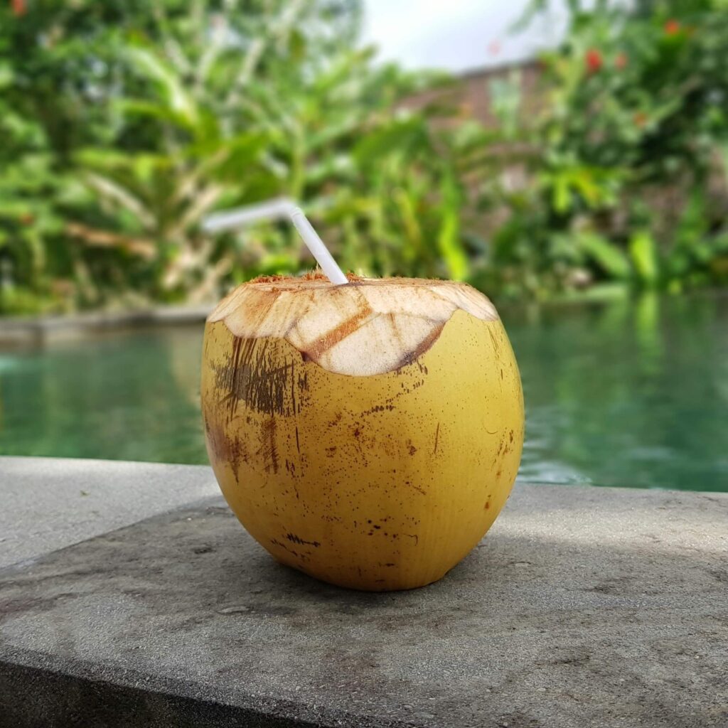 Freshly cut coconut with a straw called pipa fria in Costa Rica