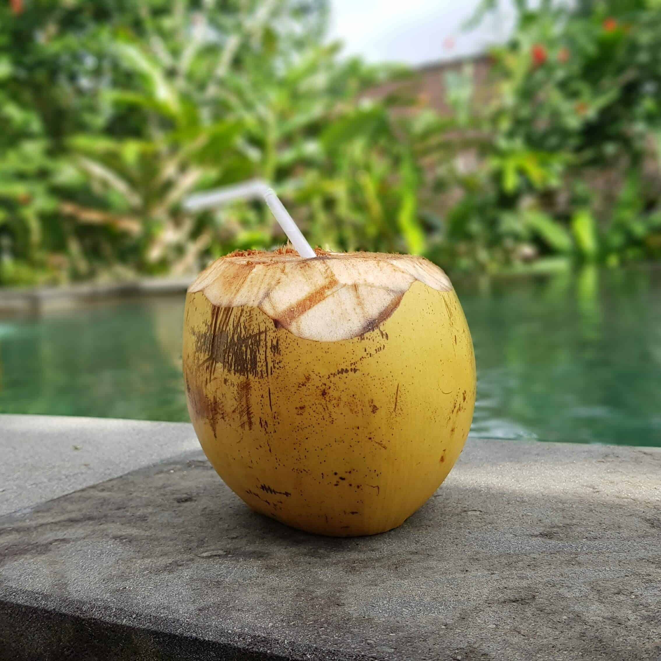 Freshly cut coconut with a straw called pipa fria in Costa Rica
