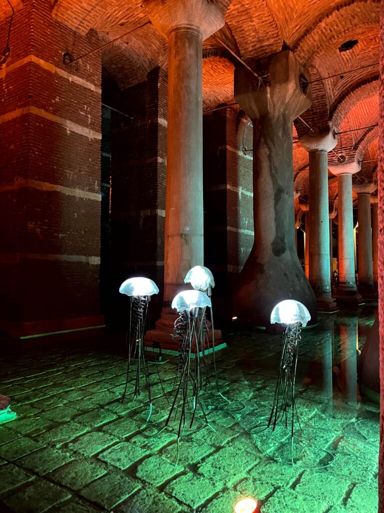 Istanbul - Basilica Cistern Jellyfish Sculpture