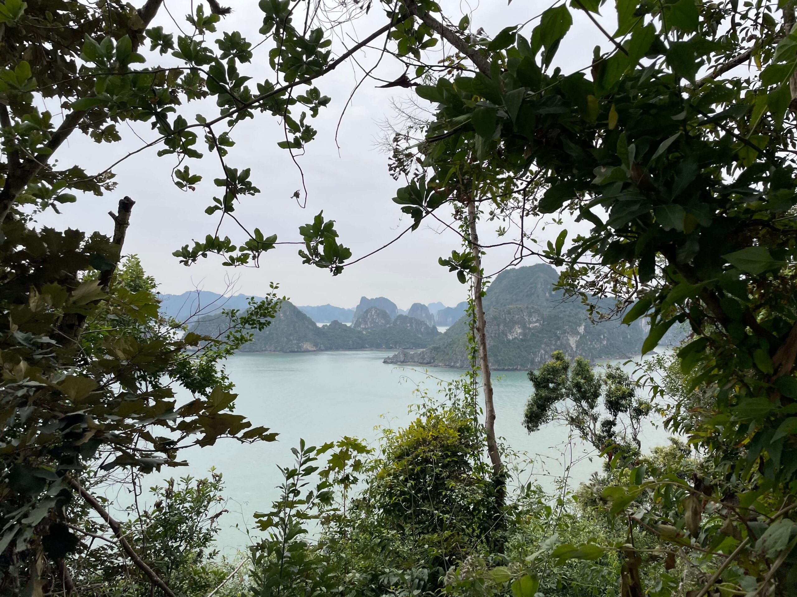 A view of Halong Bay from Ti Top Island