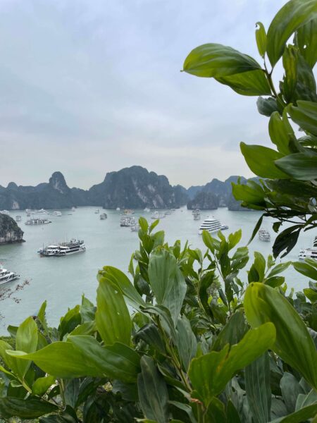 A view of Halong Bay from Ti Top Island lookout
