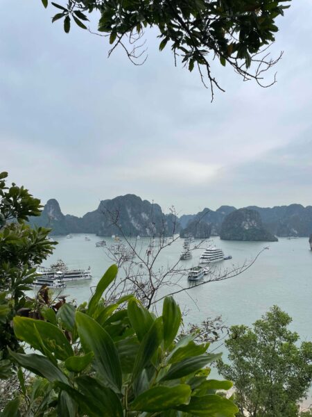 A view of Halong Bay from Ti Top Island lookout