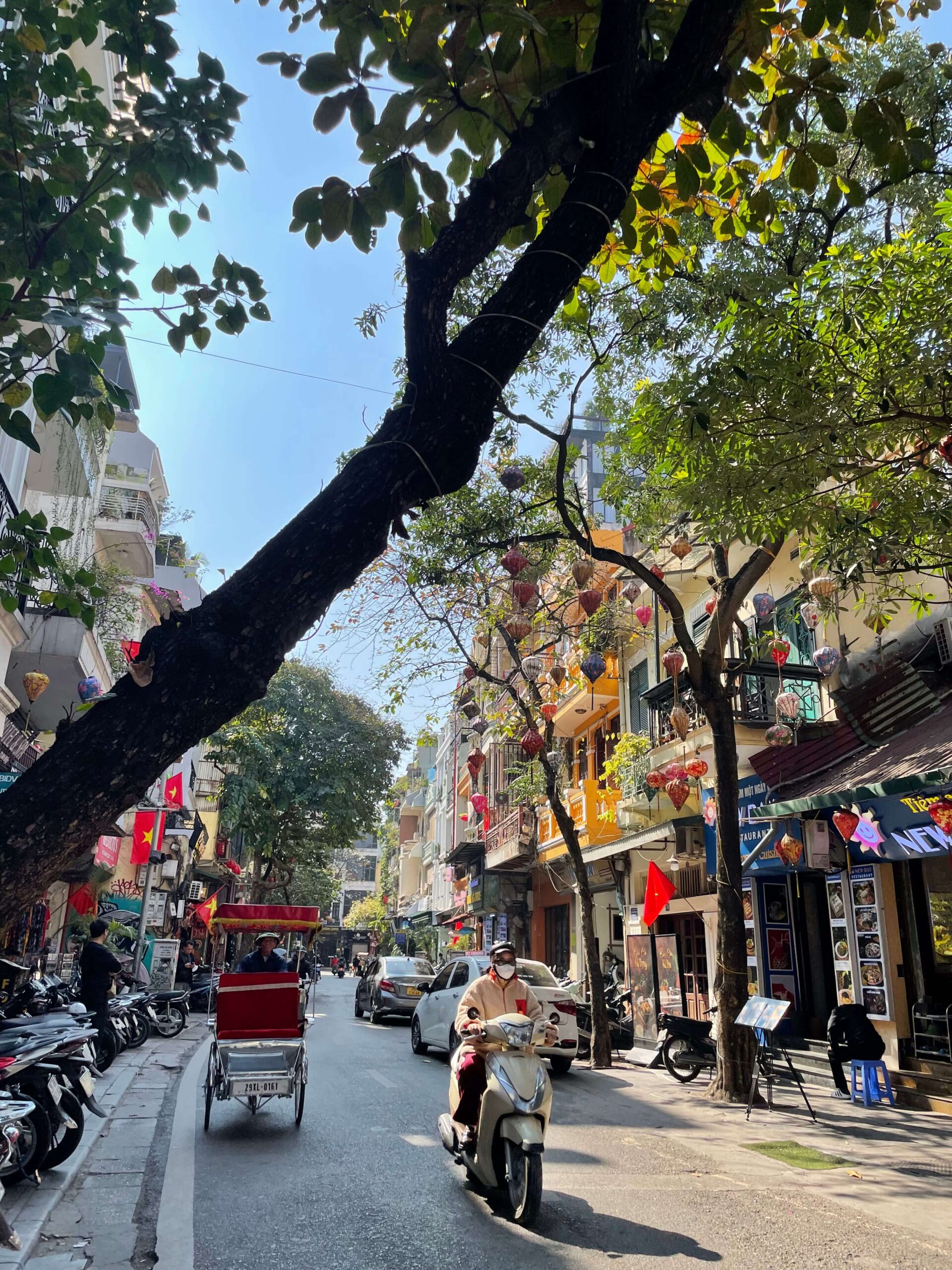 A pretty street in Hanoi Old Quarter with lanterns hanging in the trees