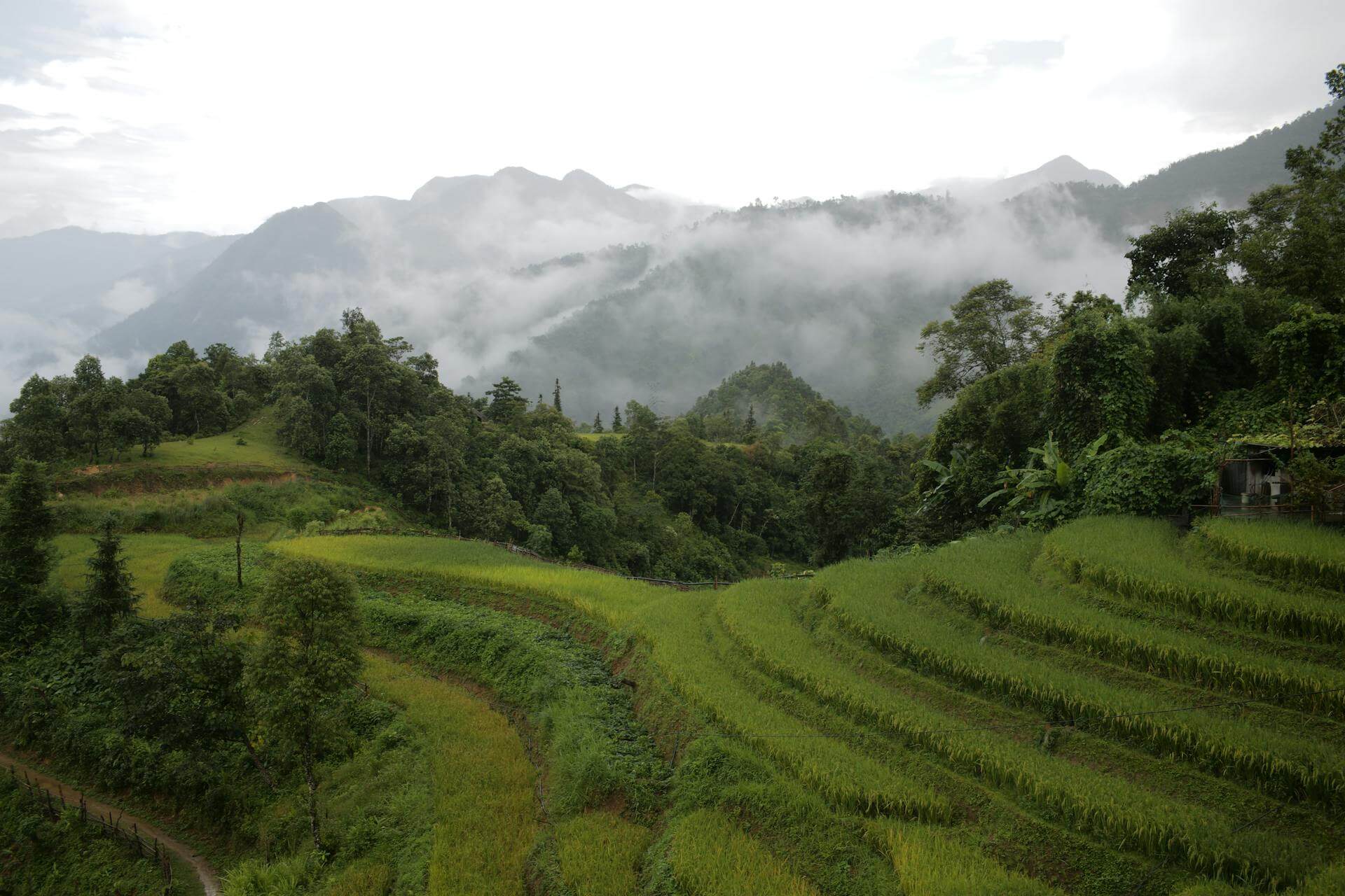 A view of the rice terraces in Sapa, Vietnam