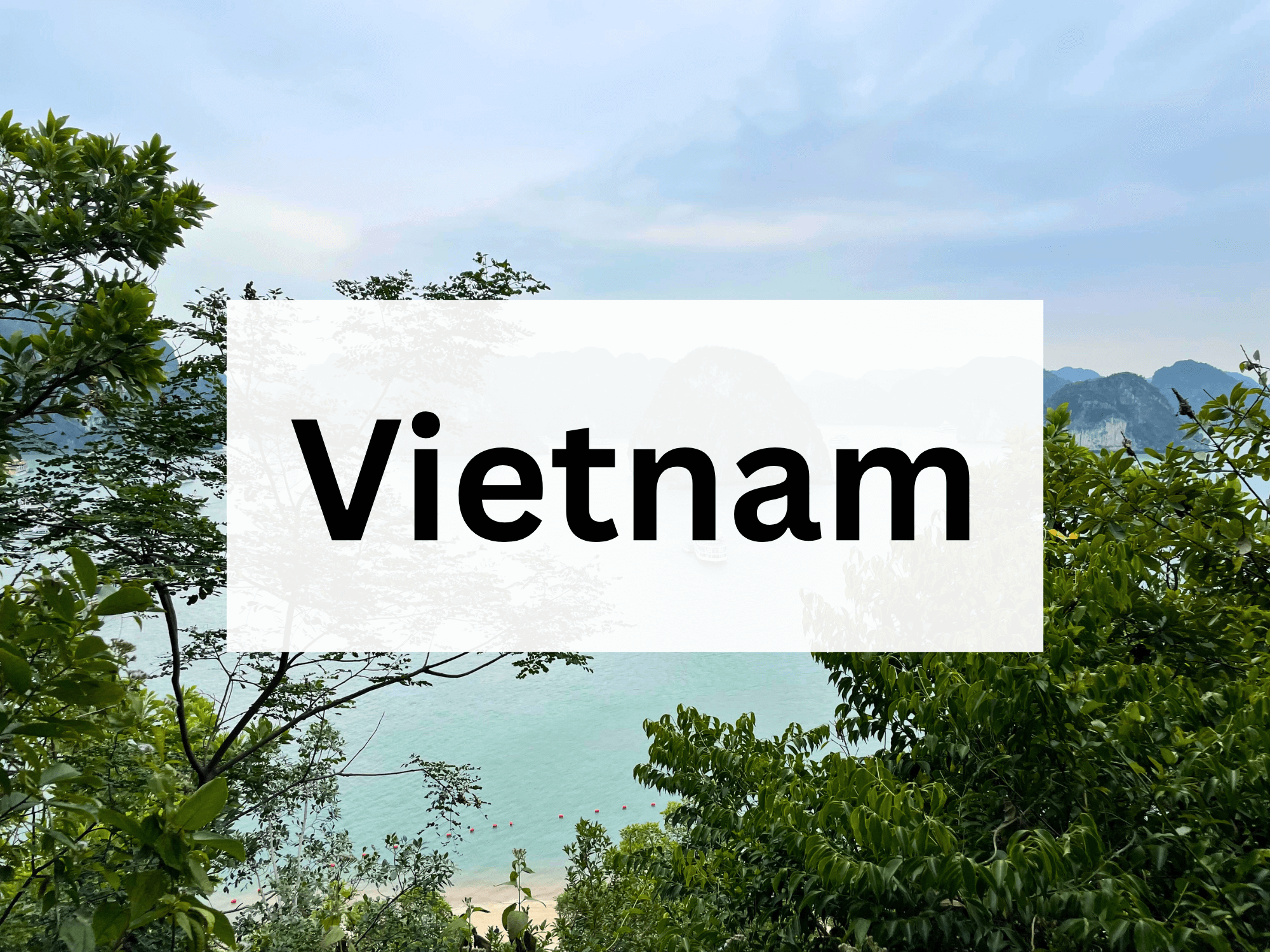 Vietnam Travel