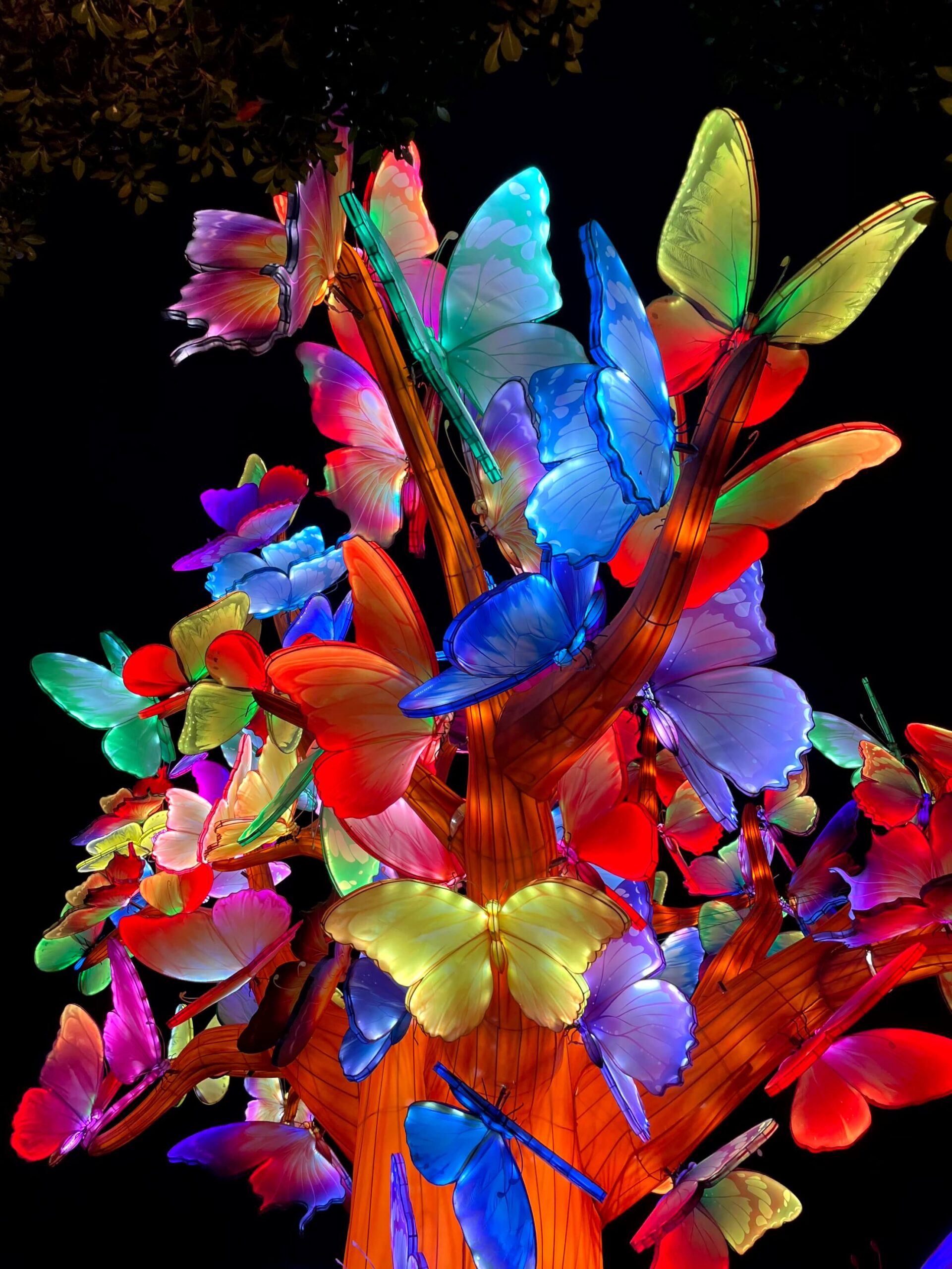 A sculpture of a tree covered in glowing multi-coloured butterflies at GLOW Sydney Zoo.