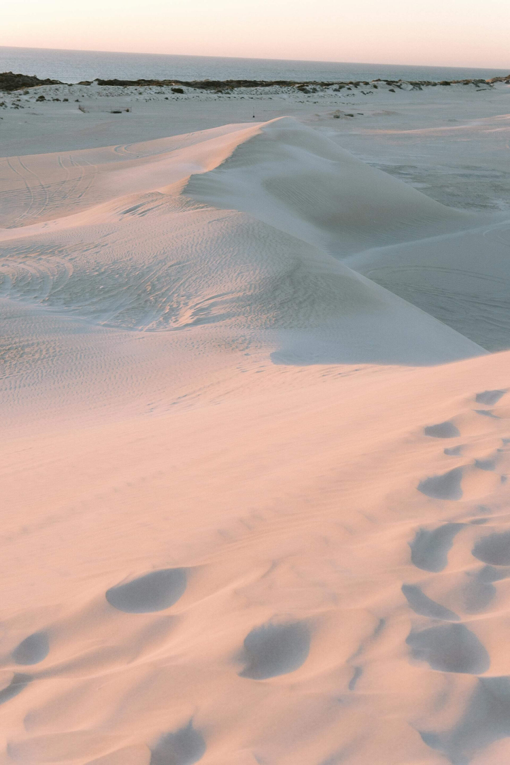 Soft rippled sand dunes with 4WD tracks across the surface in the Stockton Bight Sand Dunes in Port Stephens.