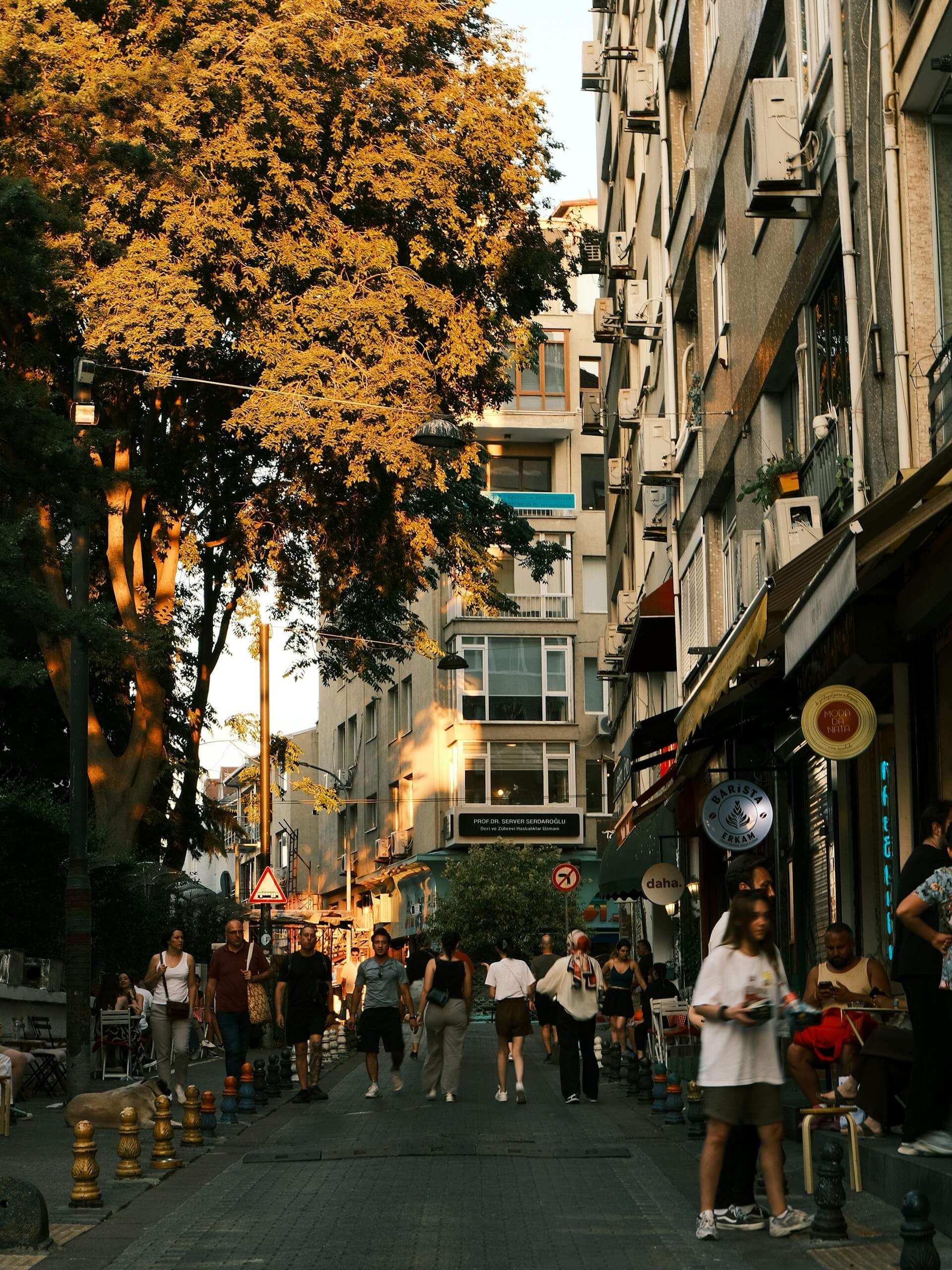 A pedestrian street in Kadıköy at golden hour with people walking past cafés and apartment buildings. A large tree glows yellow in the evening light above the sidewalk.