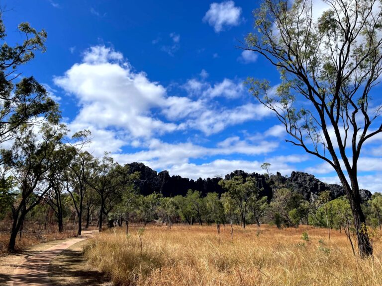 A walking track winds through dry golden grass and eucalyptus woodland toward the jagged black limestone of the Royal Arch Bluff under a bright blue sky with scattered clouds.